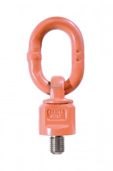 Cartec grade 100 Type 800X Oogschroefbouten met ring, wartelend