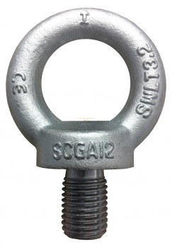 Oogbouten DIN 580 verzinkt