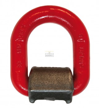 Cartec aanlas-hijs-ogen met veer