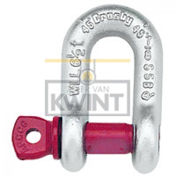 Crosby D-borstbout sluitingen