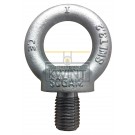 Oogbouten DIN 580 verzinkt