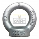 Oogmoeren DIN 582 Verzinkt