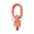 Cartec grade 100 Type 800X Oogschroefbouten met ring, wartelend